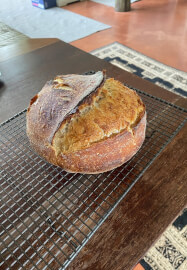 Gluten-free Sourdough Workshop