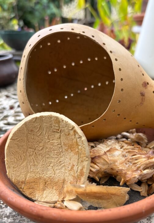 Gourd and Glow Lantern Making Workshop