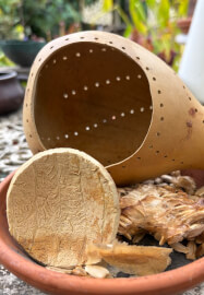 Gourd and Glow Lantern Making Workshop