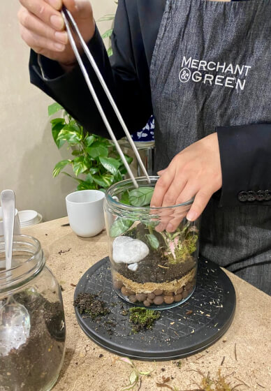 Greenhouse Terrarium Workshop