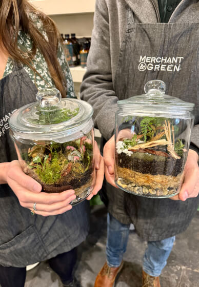 Greenhouse Terrarium Workshop
