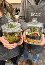 Greenhouse Terrarium Workshop