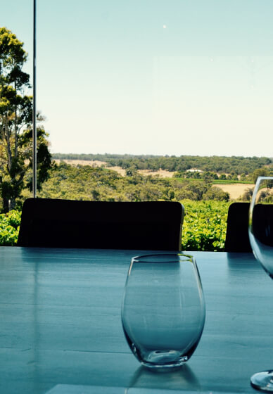 Group Wine Tasting Experience