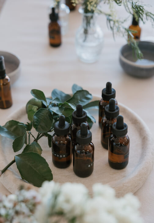 Guided Botanical Scent Journey Class
