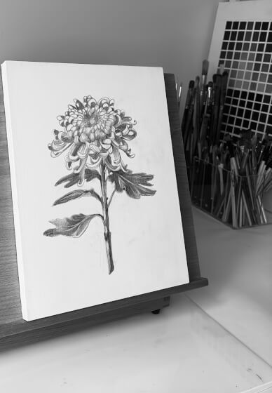 Guided Open Drawing Studio Workshop