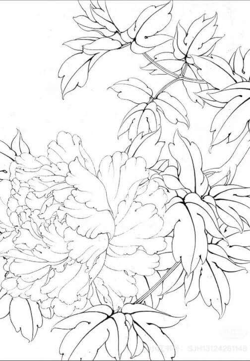 Guided Open Studio Class for Chinese Gongbi Painting