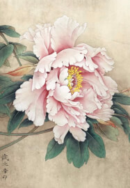 Guided Open Studio Class for Chinese Gongbi Painting