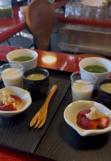 Gut Healing Japanese Cooking Course - Intensive