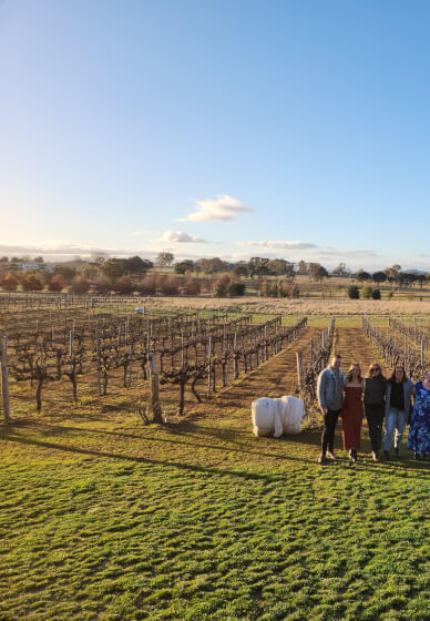 Half-day Brewery, Wineries and Distillery Tour with Tastings