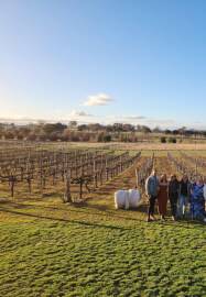 Half-day Brewery, Wineries and Distillery Tour with Tastings