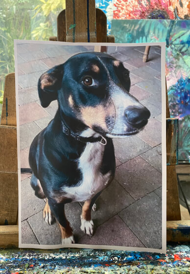 Half Day Workshop: Paint Your Pet Pop Art Style