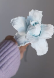 Halloween and Christmas Clay Flower Workshop