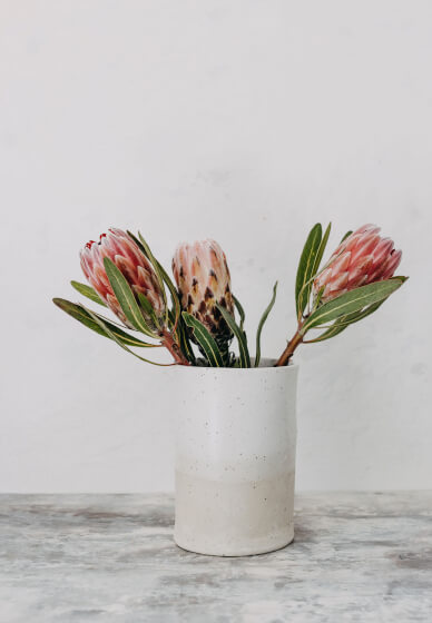 Hand Building Workshop: Pottery Vase