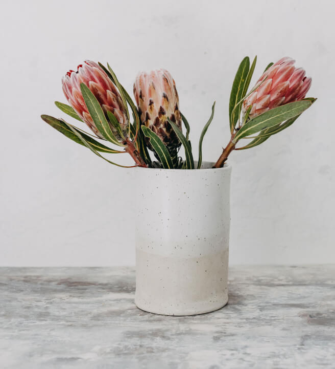 Hand Building Workshop: Pottery Vase