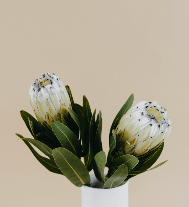 Hand Building Workshop: Pottery Vase