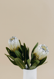 Hand Building Workshop: Pottery Vase