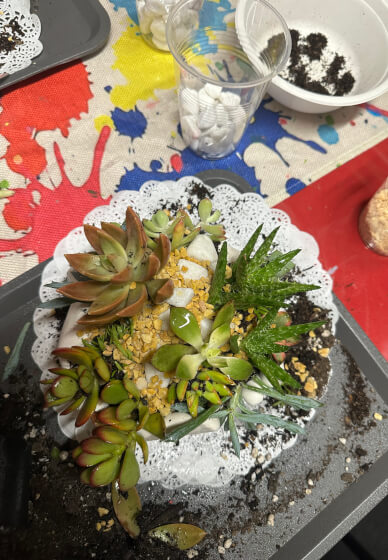 Hand Succulent Arrangement Workshop