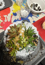 Hand Succulent Arrangement Workshop