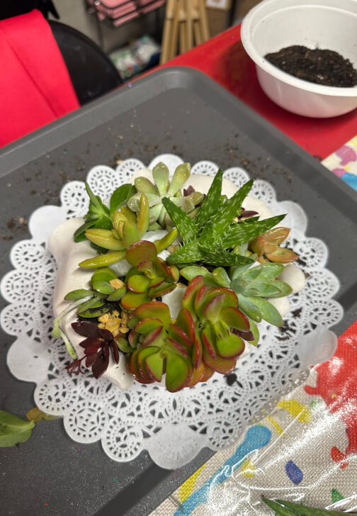Hand Succulent Arrangement Workshop