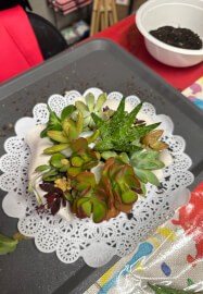 Hand Succulent Arrangement Workshop