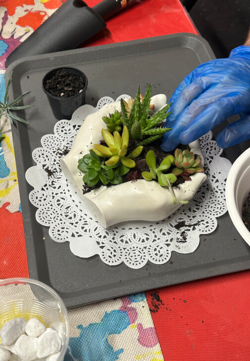 Hand Succulent Arrangement Workshop