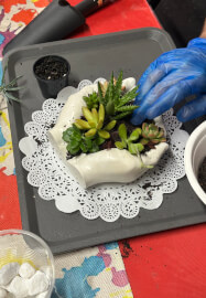 Hand Succulent Arrangement Workshop