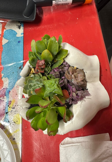 Hand Succulent Arrangement Workshop