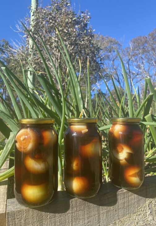 Hands-on Pickling Workshop