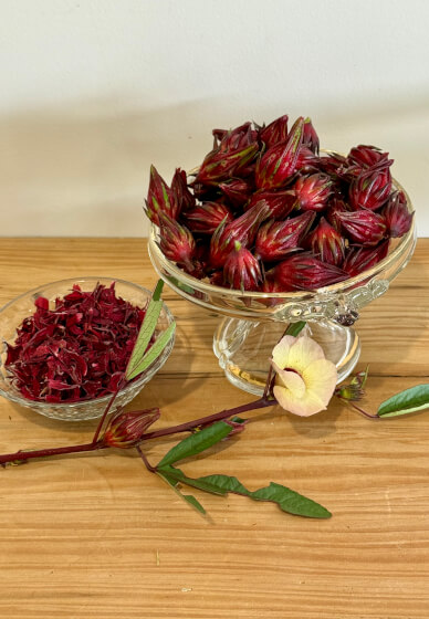 Herbal Basics Workshop