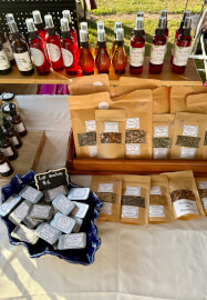 Herbal Basics Workshop