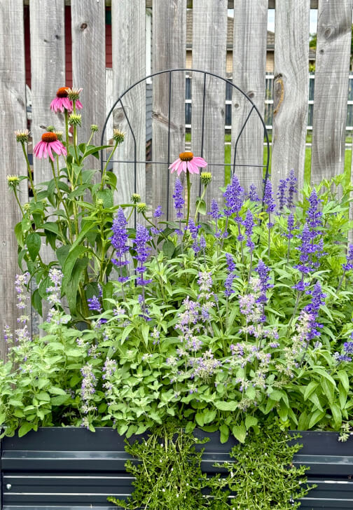 Herbal Basics Workshop