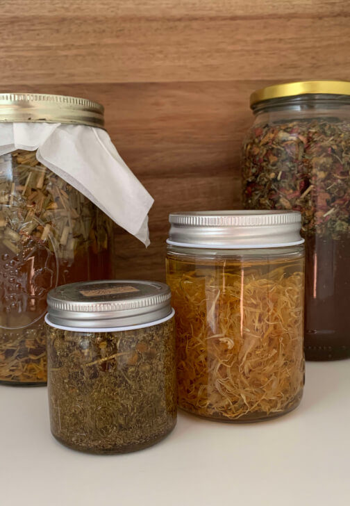 Herbal Oils and Healing Balms: Create Your Own Botanical Remedies