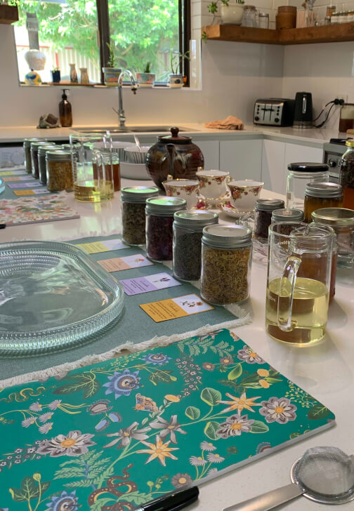 Herbal Oils and Healing Balms Workshop