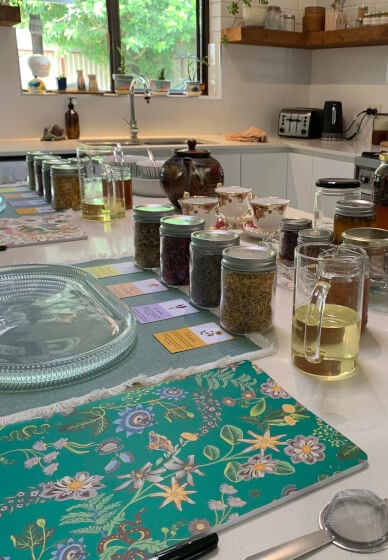 Herbal Renewal: Building Your Autumn Apothecary Workshop