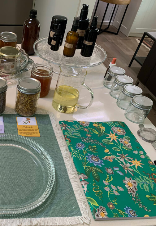 Herbal Renewal: Building Your Autumn Apothecary Workshop