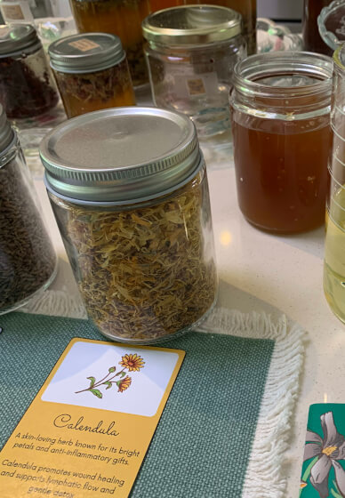 Herbal Renewal: Building Your Spring Apothecary Workshop