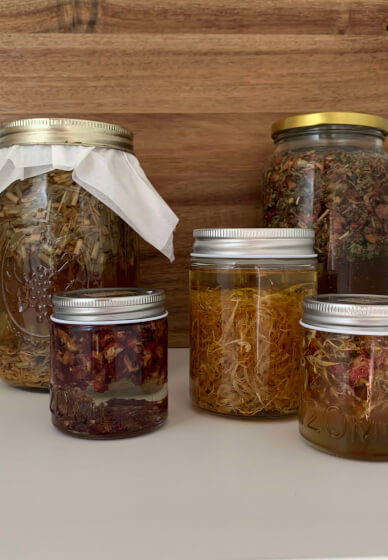 Herbal Renewal: Building Your Spring Apothecary Workshop