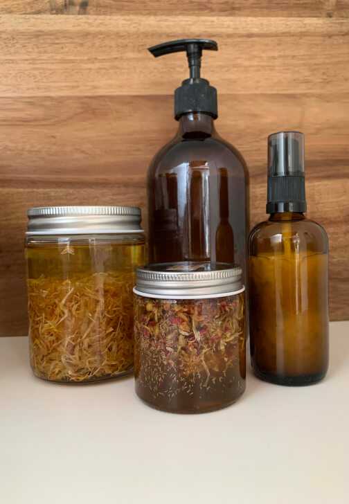 Herbal Renewal: Building Your Winter Apothecary Workshop