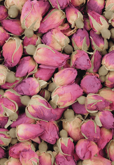 Herbal Tea Blending Workshop for Self-Care