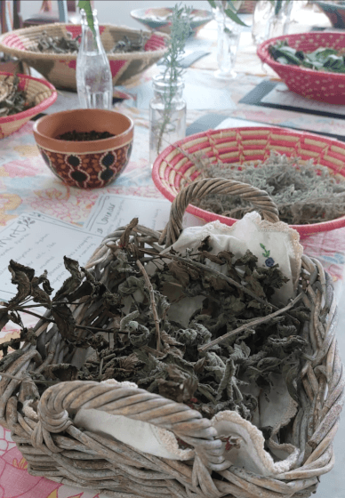 Herbal Tea Workshop