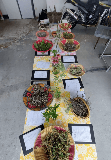 Herbal Tea Workshop
