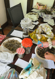 Herbal Tea Workshop