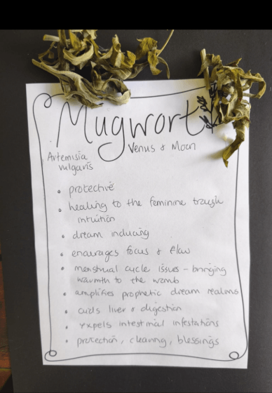 Herbal Tea Workshop