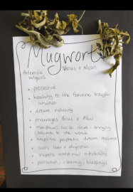 Herbal Tea Workshop