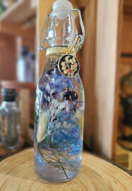 Herbarium and Card Making Workshop