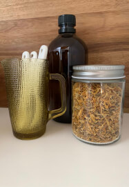 Herbs for Hounds: A Botanical Workshop for Dog Lovers