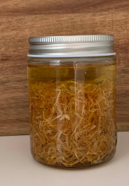 Herbs for Hounds: A Botanical Workshop for Dog Lovers