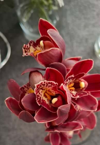 High Tea and Floral Gift Bag Workshop