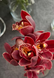 High Tea and Floral Gift Bag Workshop