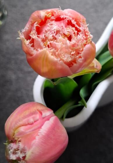 High Tea and Floral Gift Bag Workshop